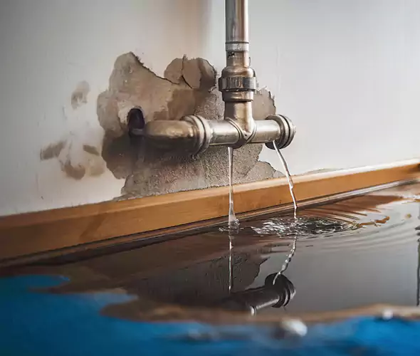 Professional Water Damage Restoration Experts in Newburyport, MA — Fast, Reliable & Certified