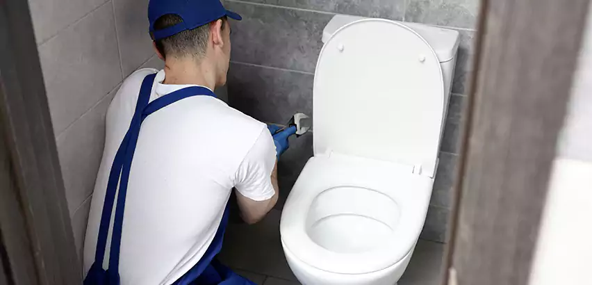 Toilet Lid Replacement in Newburyport