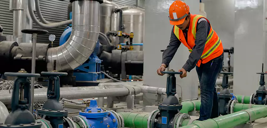 Top-Notch Trenchless Sewer Line Repair Services in Newburyport, MA.
