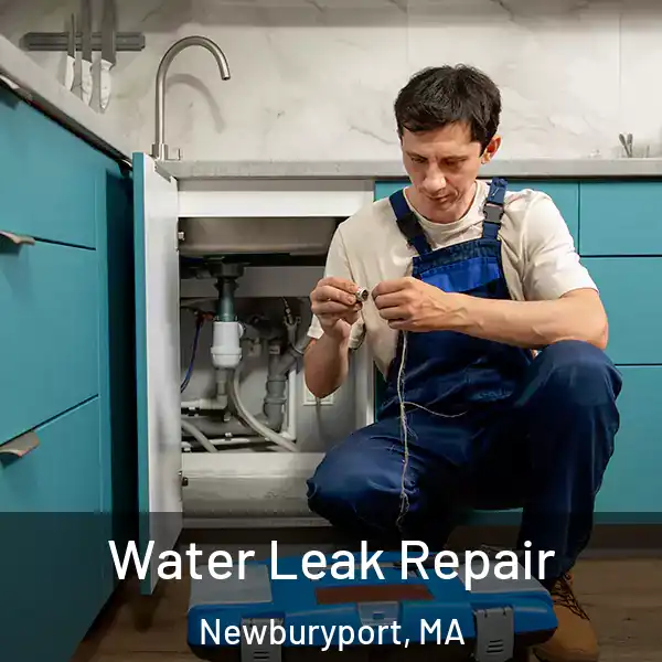  Water Leak Repair Newburyport, MA